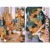 APOSTROFO ROSA |dvd lesbo|